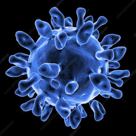 virus