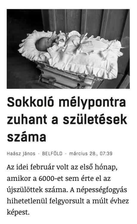nemvicc
