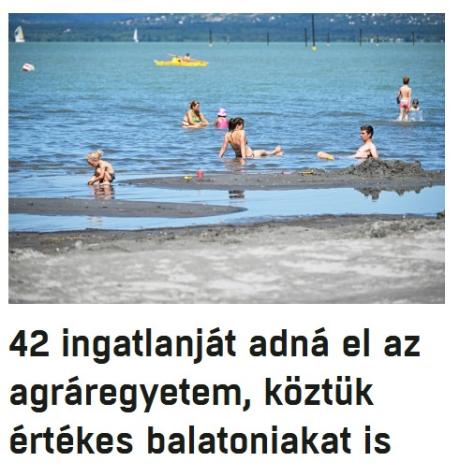 nemvicc