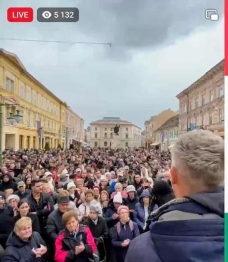 nemvicc