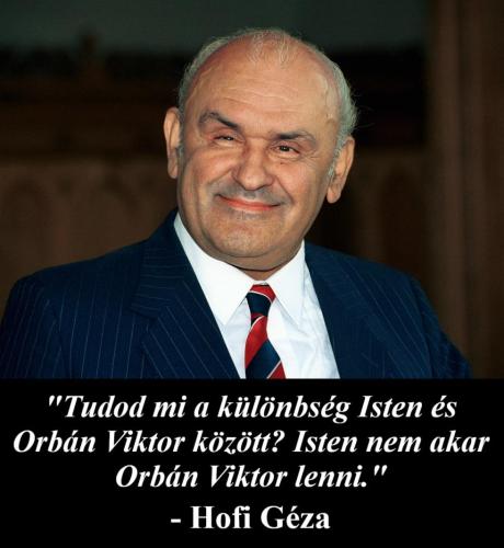 nemvicc