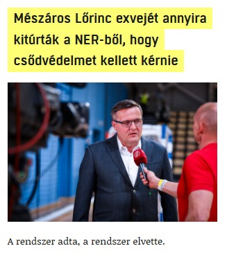 nemvicc