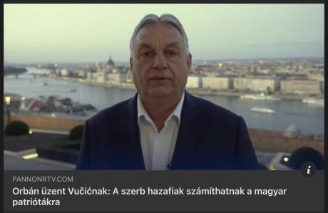 nemvicc