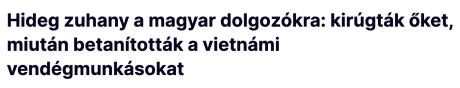 nemvicc