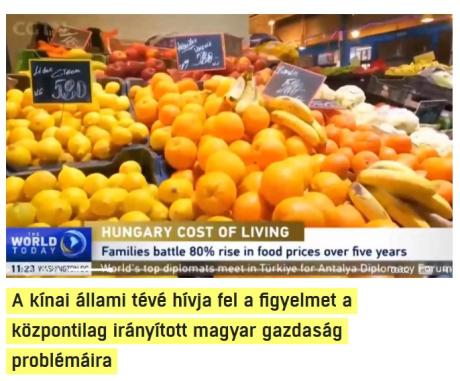 nemvicc