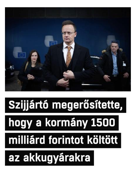 nemvicc