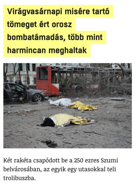 nemvicc