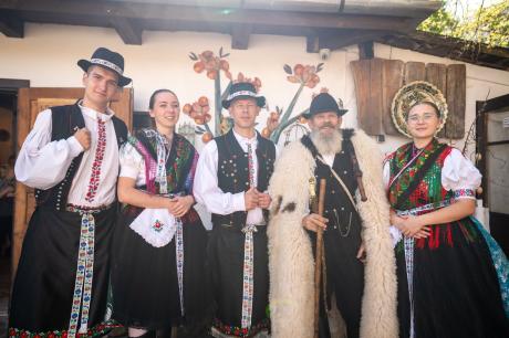 nemvicc