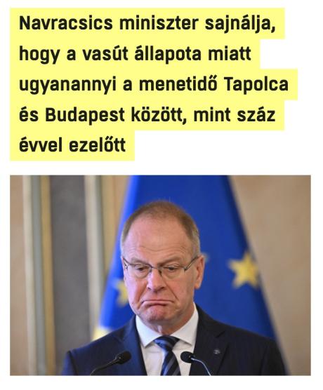 nemvicc