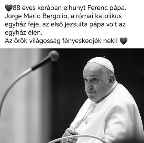 nemvicc