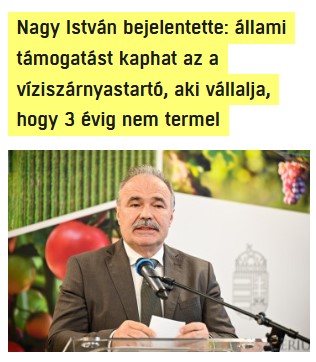 nemvicc