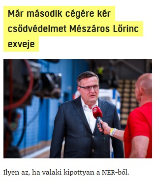 nemvicc