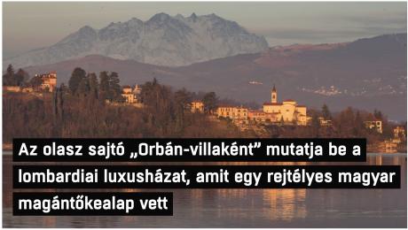 nemvicc