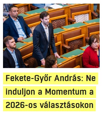 nemvicc