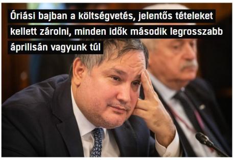 nemvicc