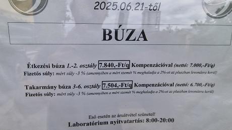 buza