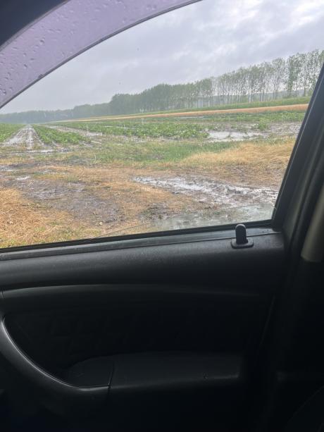 Közvetlen eső után.