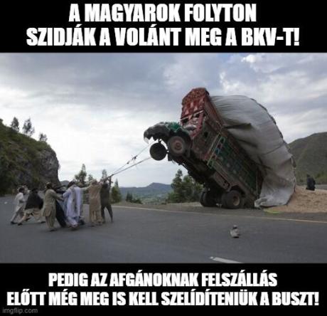 dsfg