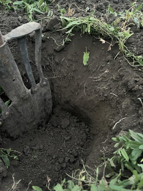 Pihent mert nem jól kelt