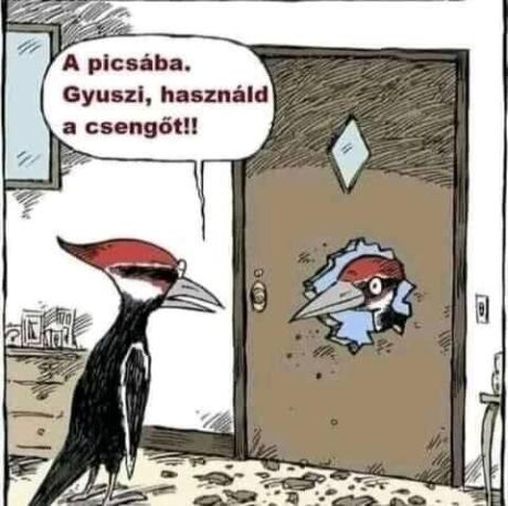 hjkl