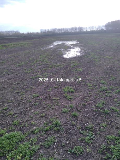 Függőleges drénezés