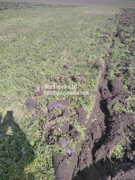 Takar&oacute; n&ouml;v&eacute;ny