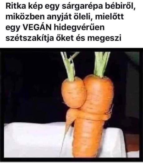 jkgjkh