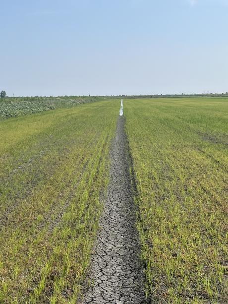 2025 június Kisújszállás