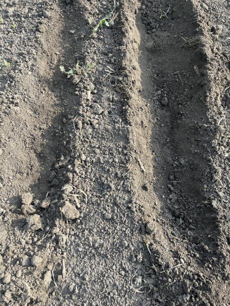 Csak a felső 1 cm sz&aacute;raz.