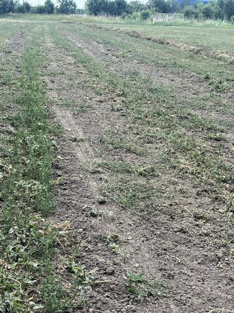 Kap 2 mm esőt?