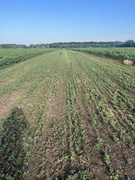 Kunklif&eacute;le