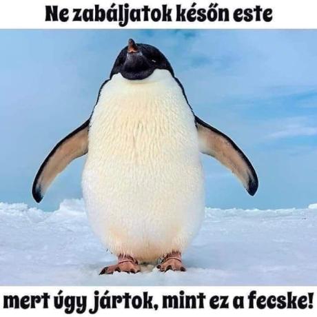 rfgjhjvb