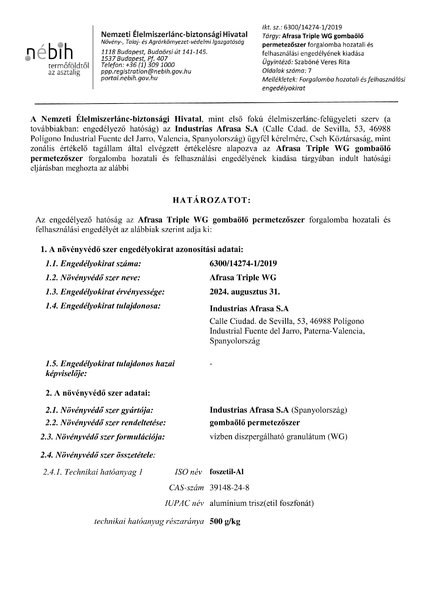 afrasa_triple_wg_eng_20190828.pdf