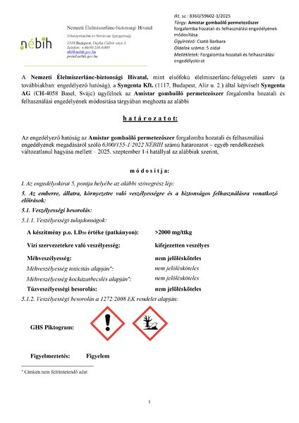 amistar_mod_20250611.pdf