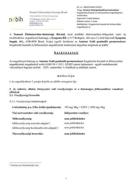 amistargold_mod_20250521.pdf