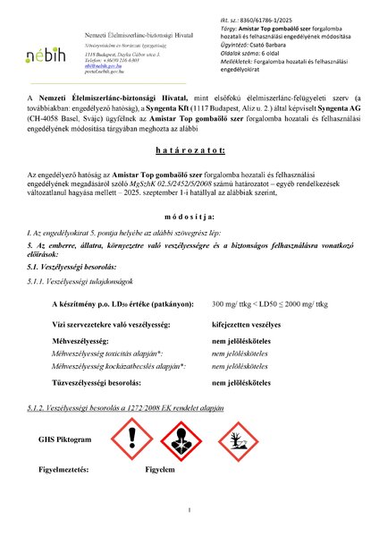 amistartop_mod_20250618.pdf