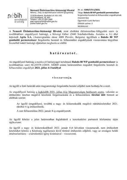 baledo80wp_vissza_20210218.pdf