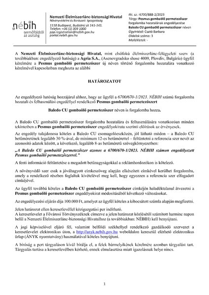 baledocu_szarmaztatotteng_pesmus_klon_20230515.pdf