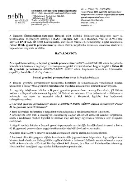 beyond_szarmaztatotteng_20201102.pdf