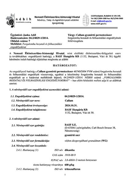 callam_felulvizsgalat_20141022.pdf