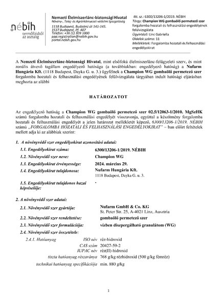 champion_wg_felulvizsgalat_v20190329.pdf