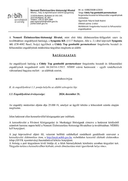 cidely_top_mod_20191129.pdf