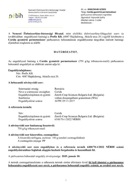 corida_peng_prefix_roman_20250423publikus.pdf