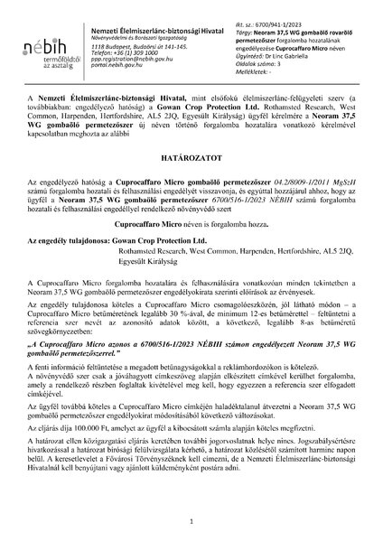 cuprocaffaro_micro_szarmaztatotteng_neoram_375_wg_klon_20230327_indoklas_nelkul.pdf