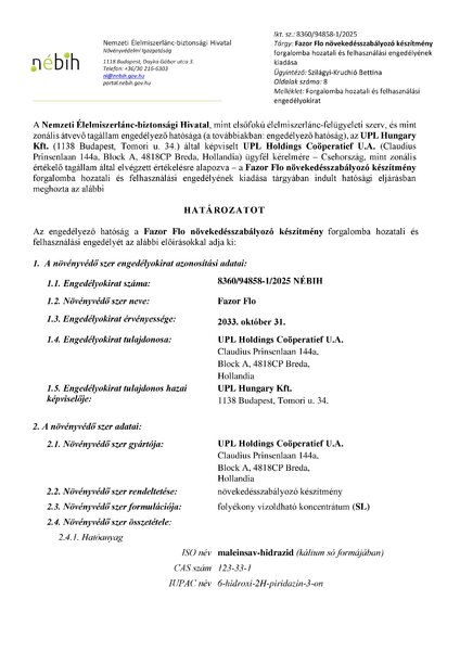 fazor_flo_eng_94858_1_2025_11_13_publikus.pdf