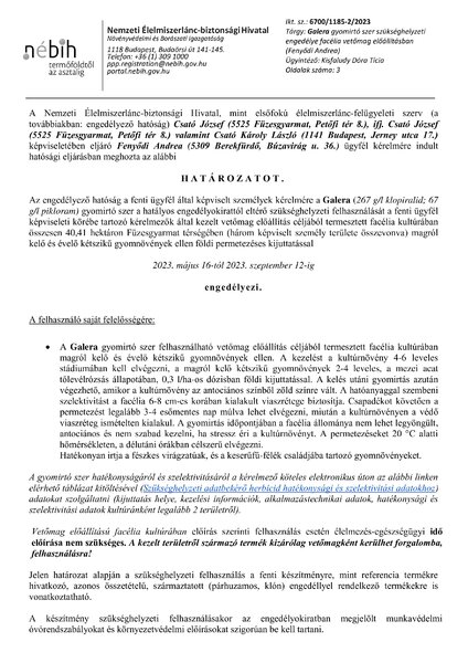 galera_facelia_csato_jozsef_20230512.pdf