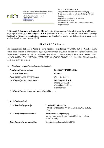 gondor_eng_20250530_publikus.pdf