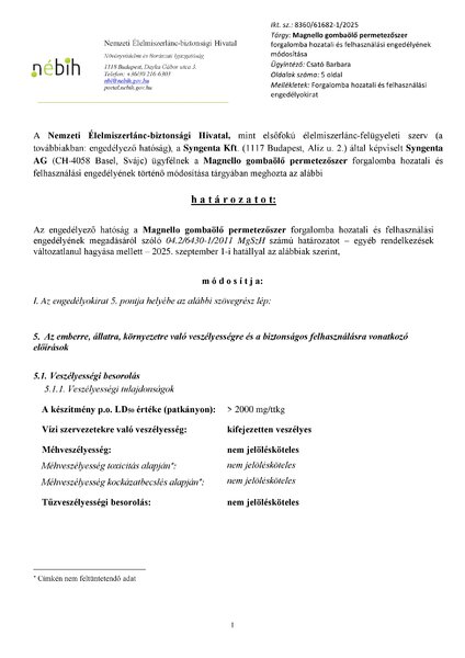 magnello_mod_20250618.pdf