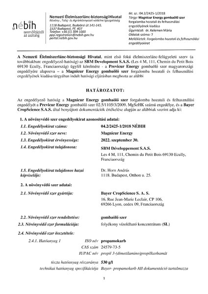 magnicur_energy_eng_20180709.pdf