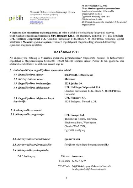 maximox_eng_2025_06_11.pdf